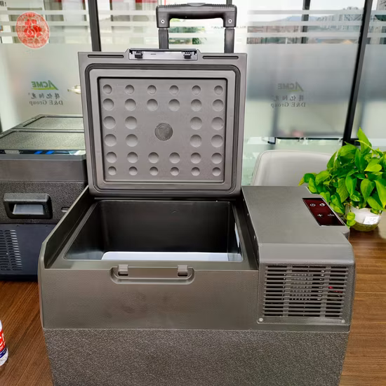 Electric Fridge De